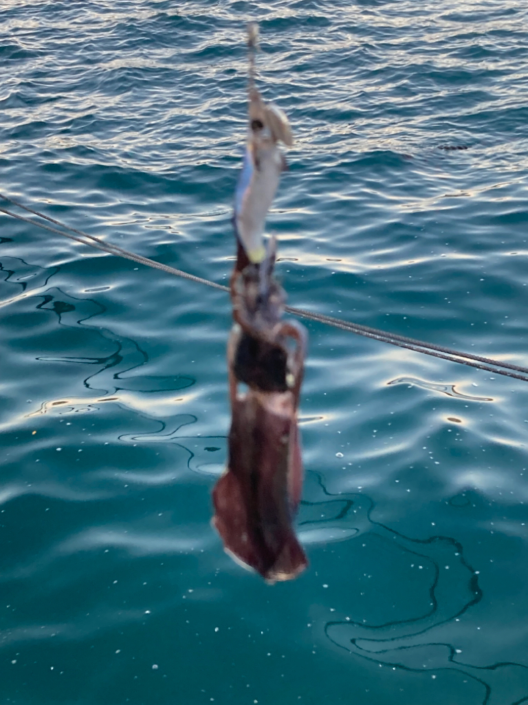 エギングランガン