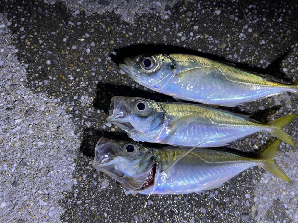 親友カップルと釣り