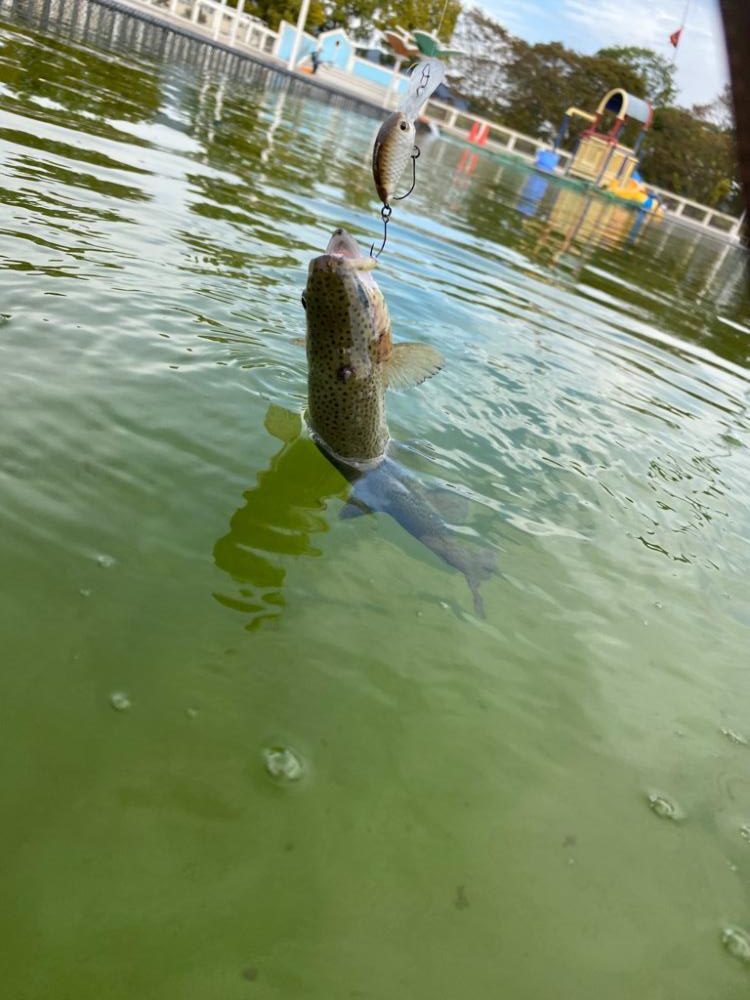 かめプー　貸切でストレスなし