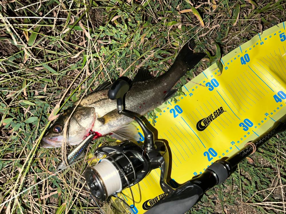 バイブレーションジャーク！