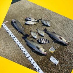 釣り始めは潮の流れ無し、風もない状況。