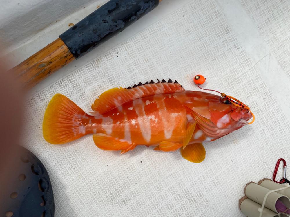 ボートで五目釣り