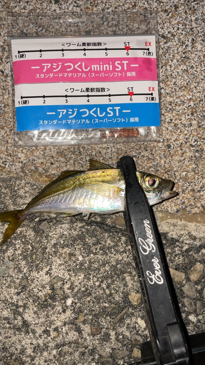 オンスタックルのモニター