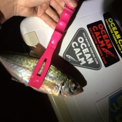 フロートアジング