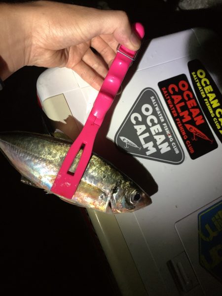 フロートアジング