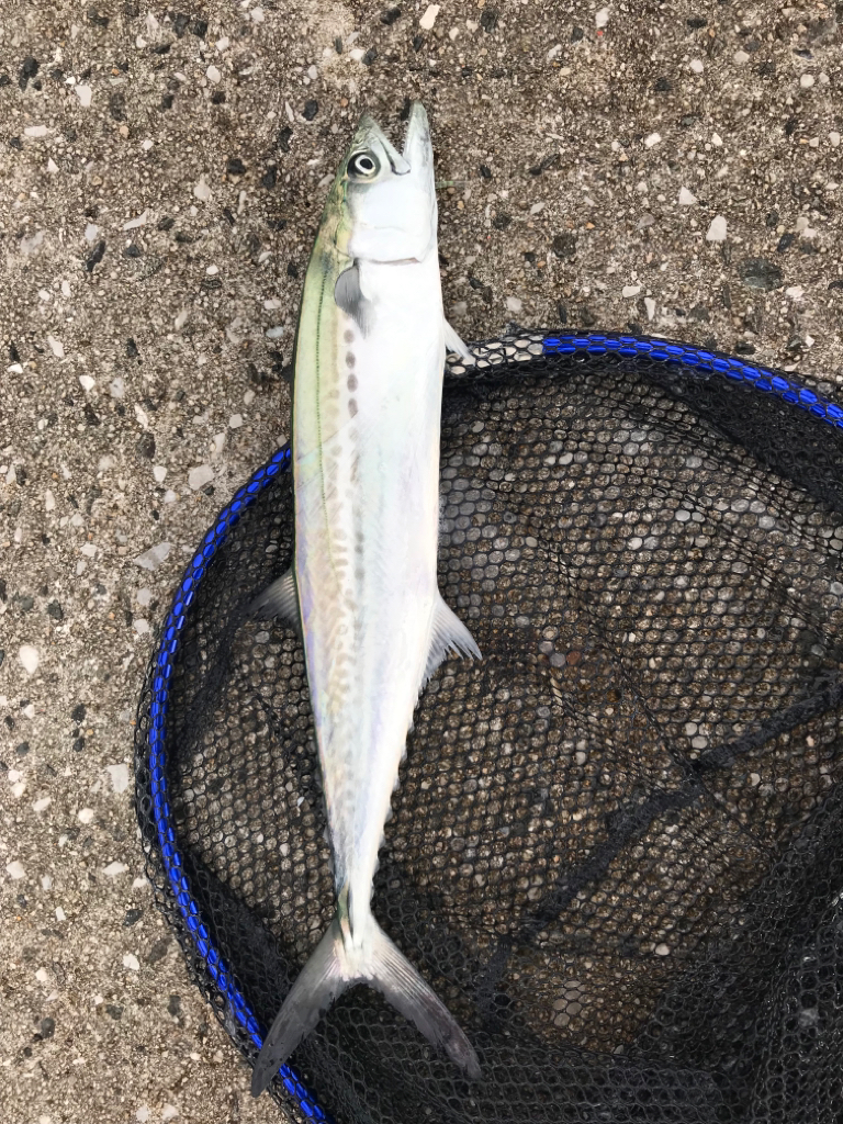 毎週末のルーティン