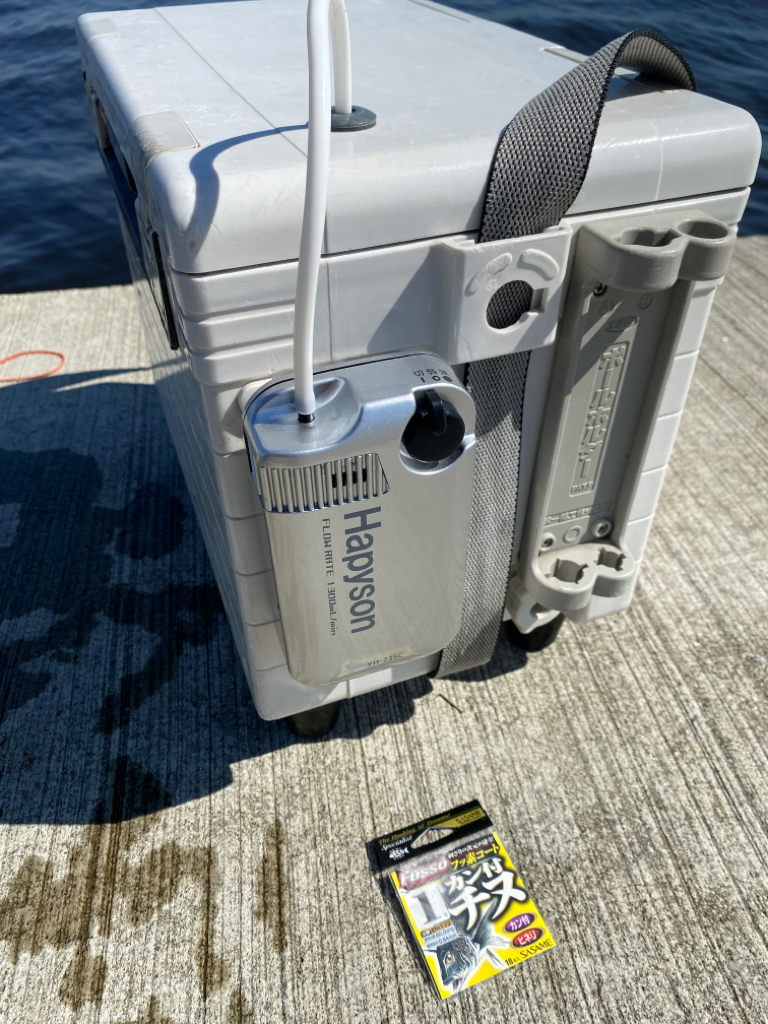 新しいエアーポンプ、ライトもオレンジ光のチェストライトを使用