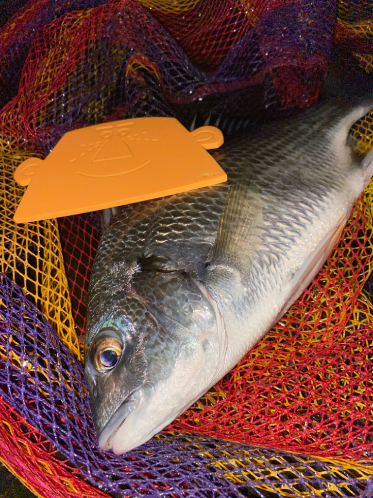 ヘチってきました