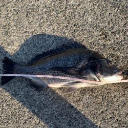 夜釣りのつもりが。