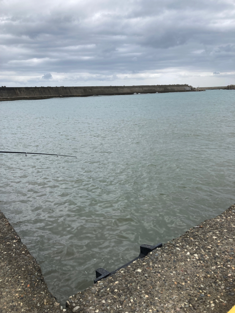 久しぶりの場所でサビキ釣り