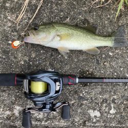 津風呂湖おっかパリ