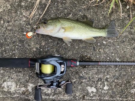 津風呂湖おっかパリ