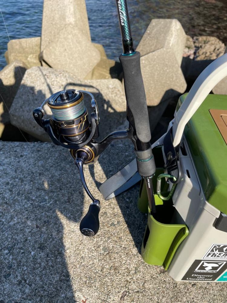 好調日本海エギング、数から型になりました