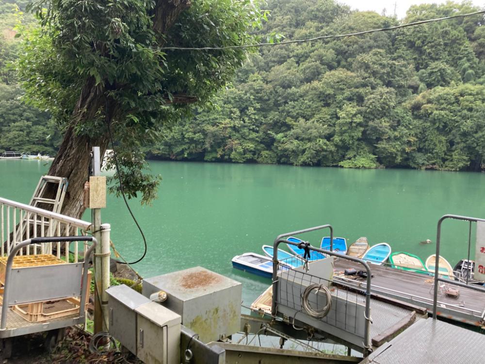 今年初のワカサギ！