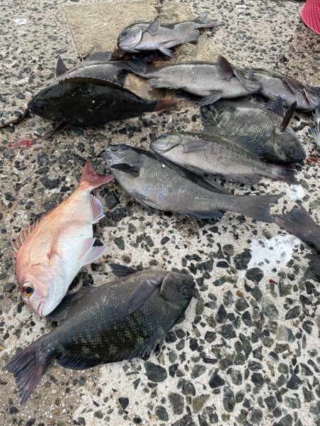 六連島でクロ釣り