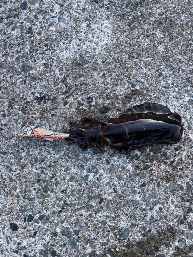 弾丸日本海ツアー