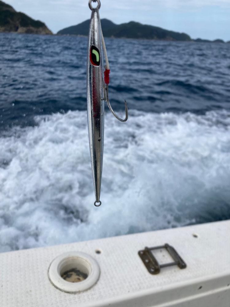 ネリゴジギング