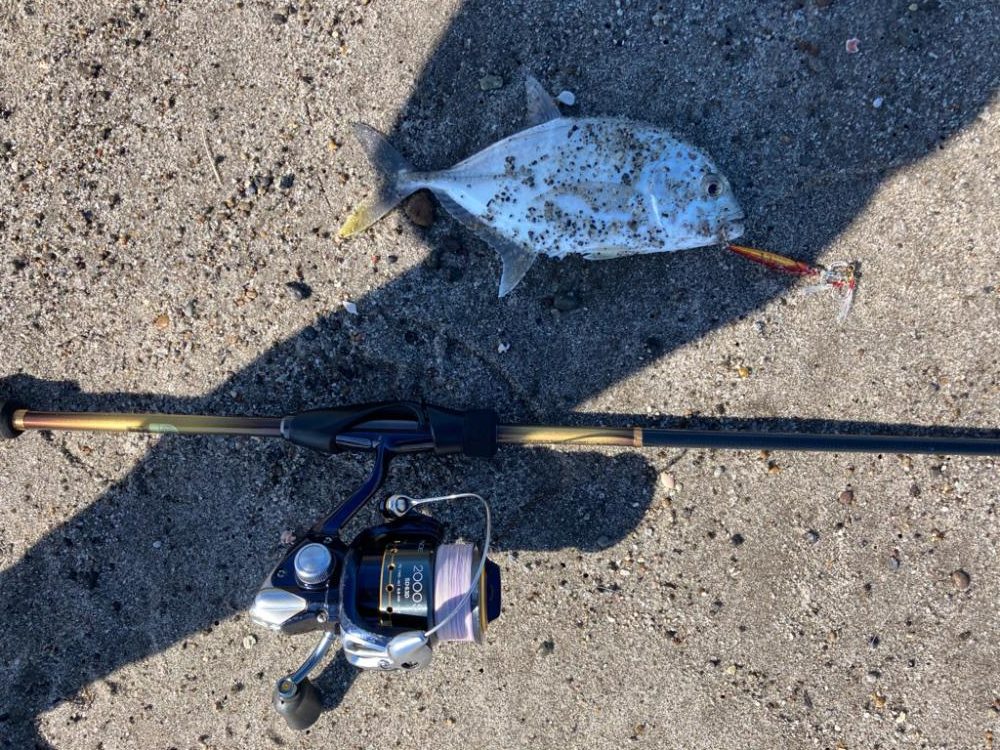 スーパーライトチニング