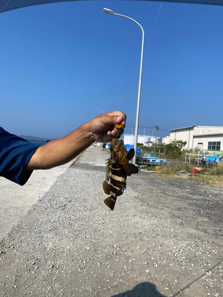 天草秋の根魚祭り