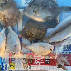 3ヶ月振りに、淡路島に、釣り