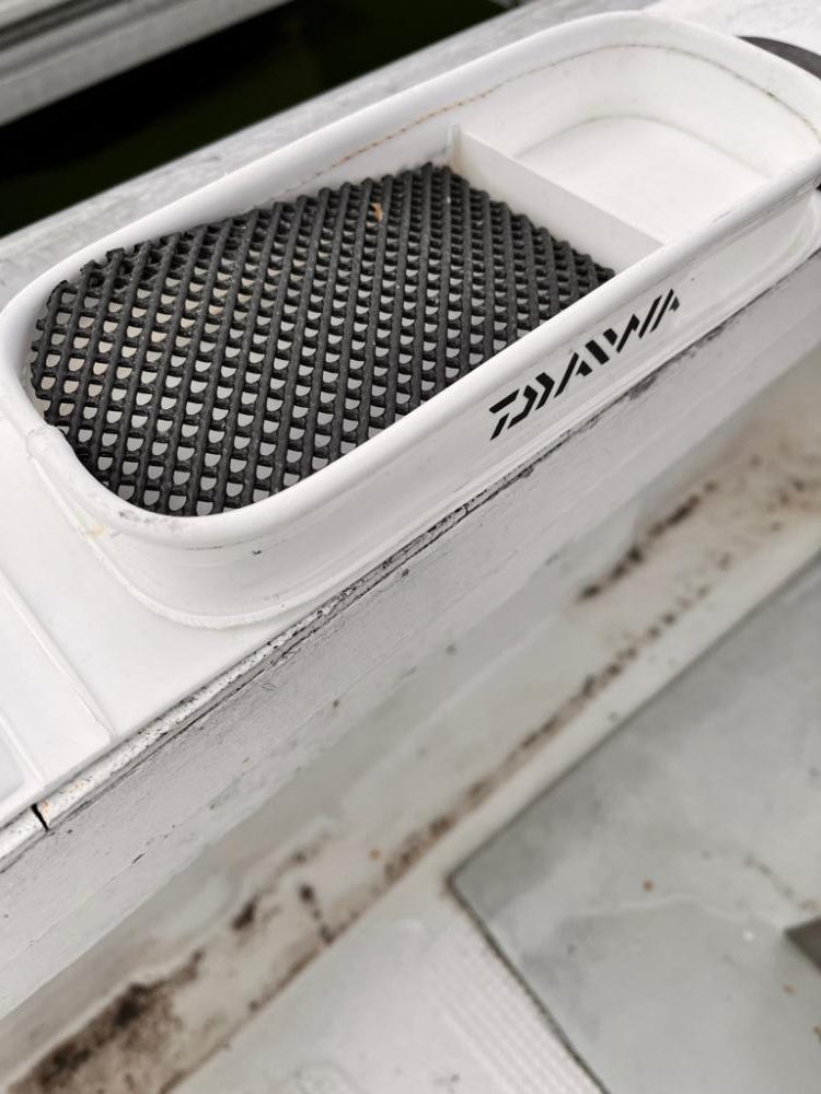 イカしてハゲしてアレもして