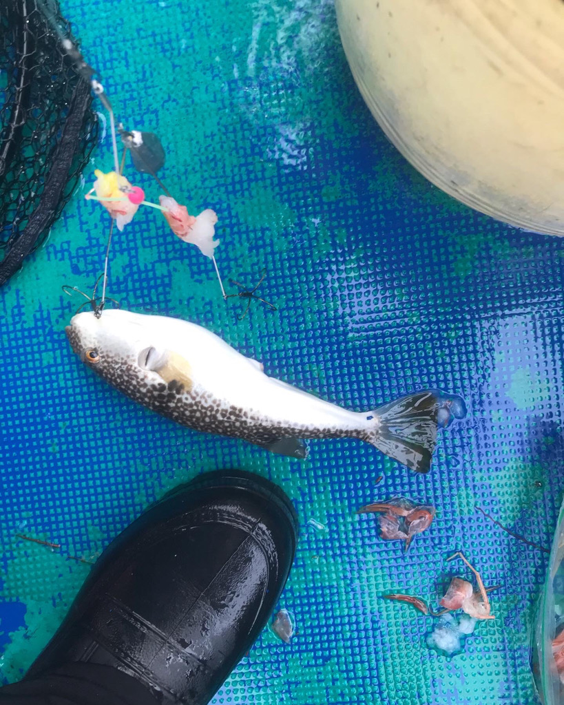 明石ショウサイゲーム