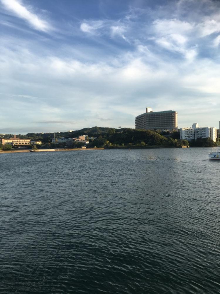 オオモンハタばかりですね、、、