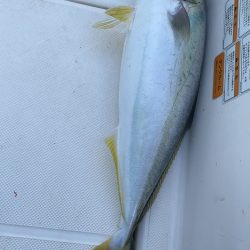 久しぶりのボート出船