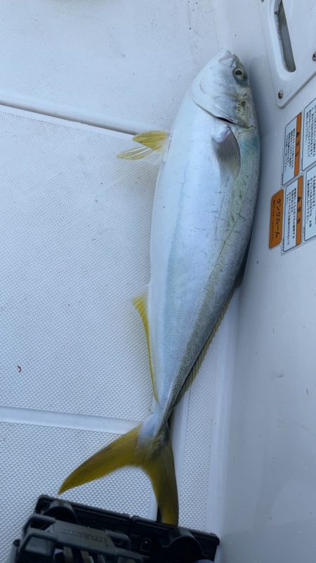 久しぶりのボート出船