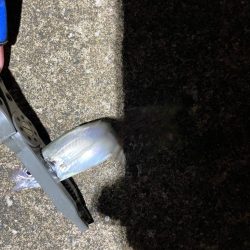 アジングでぼちぼち