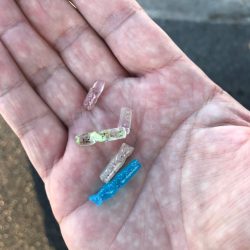 連日早朝尺鯵狙い