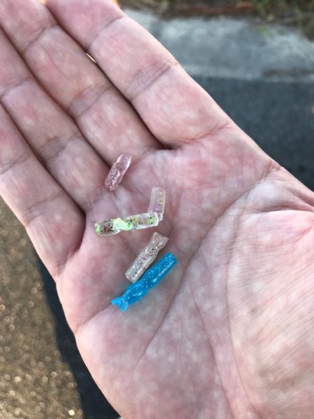 連日早朝尺鯵狙い