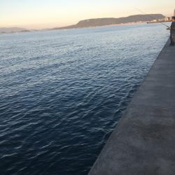 自己最高80センチオーバー