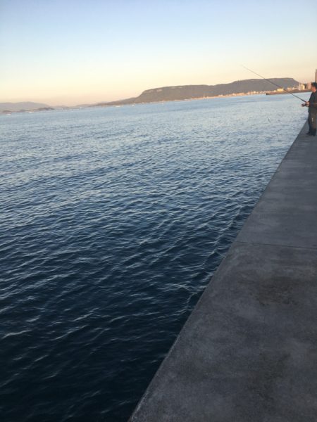 自己最高80センチオーバー