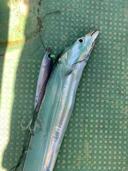 今年最後の船タチウオか？