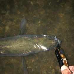 いるけど口を使わない