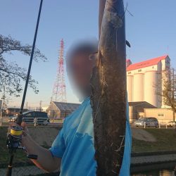 秋のナマジング