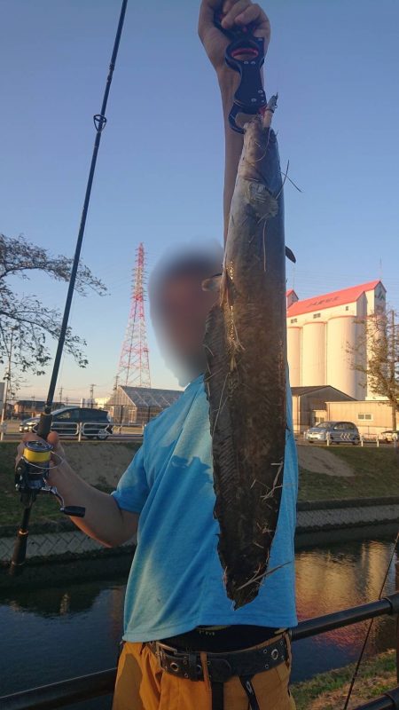 秋のナマジング