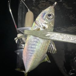 ボートアジング