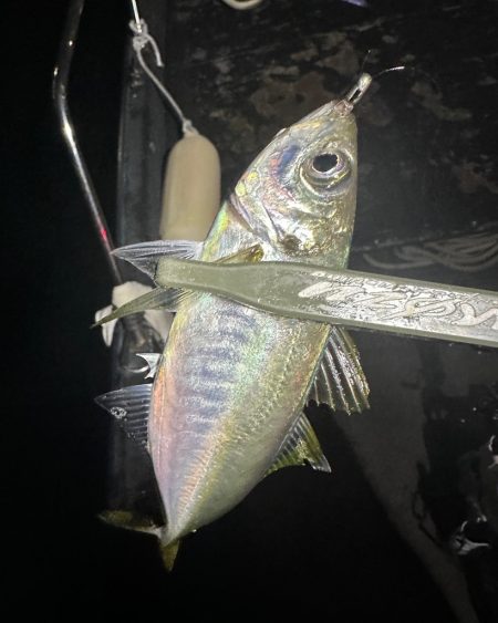 ボートアジング