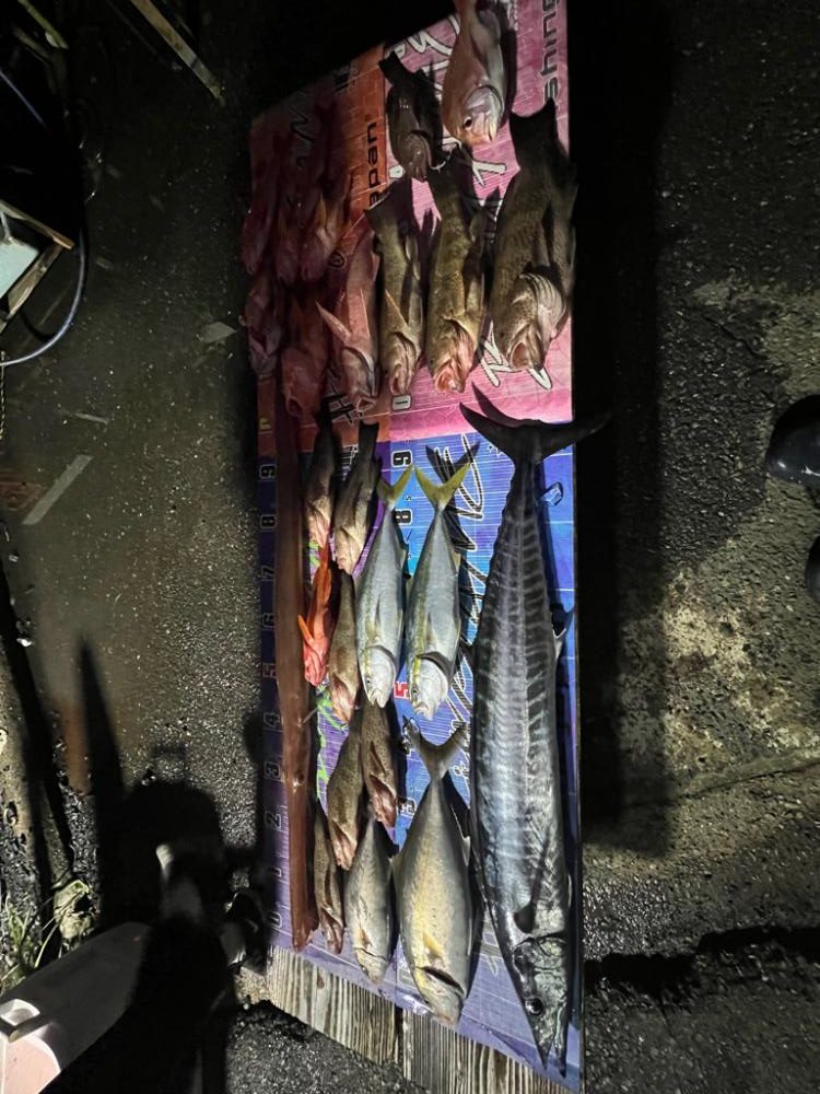 人生最高の魚GET🐟