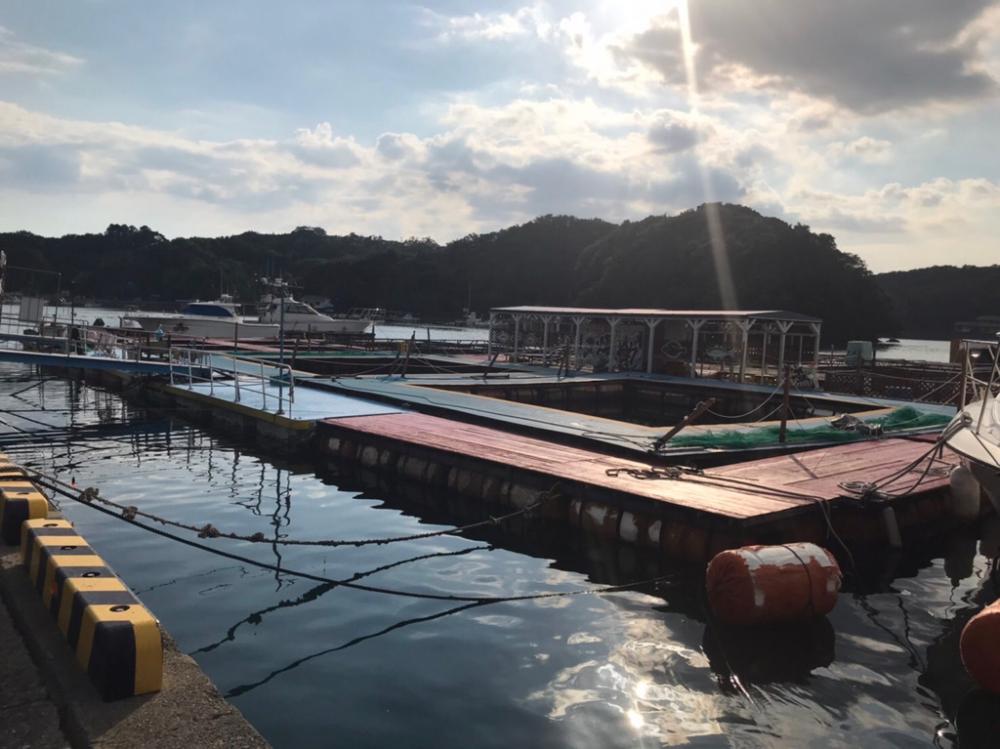 オオモンハタ祭り