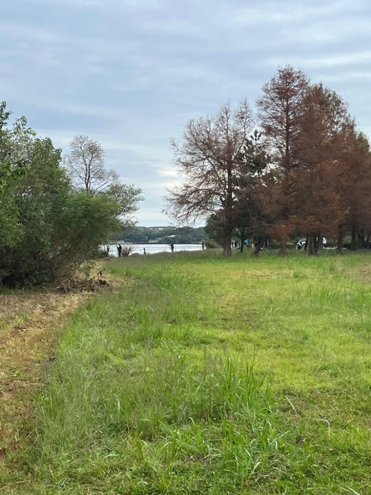 琵琶湖、今日も朝の散歩