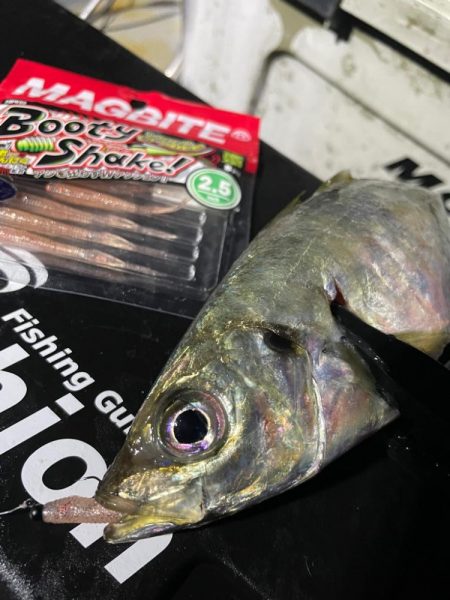 ボートアジング