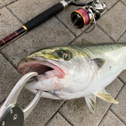 ⭐︎NOカワハギDAY