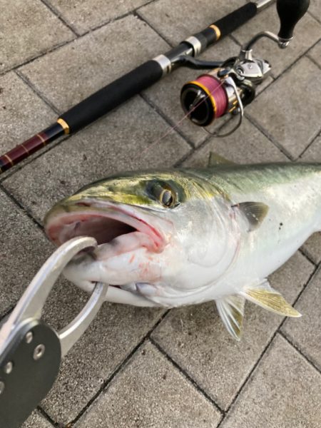 ⭐︎NOカワハギDAY