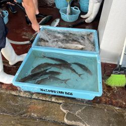 ジギング&落とし込みでシオ連発