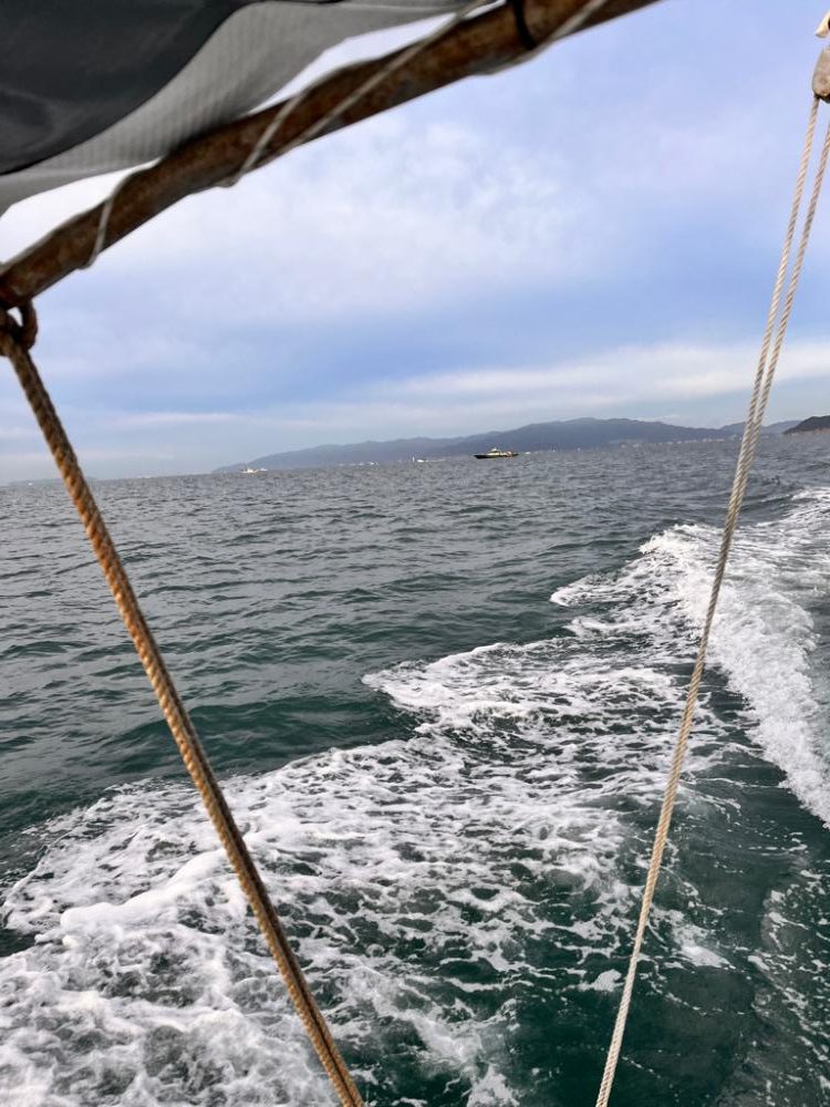 色々と釣れました