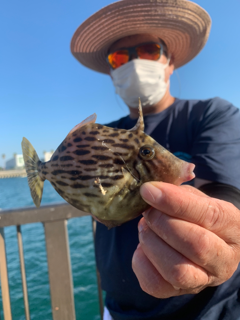 アジュール舞子　変な穴釣り