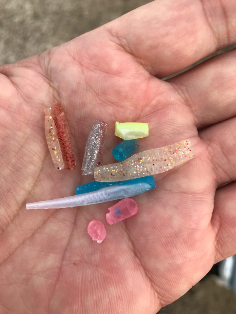 久しぶりの釣行